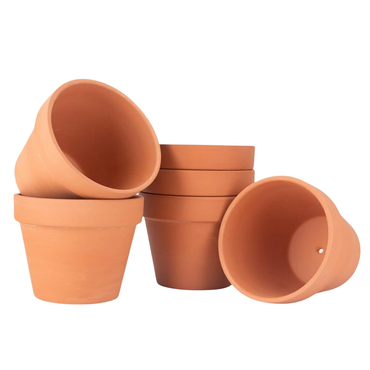 Echeveria Succulent - 6pcs 4 inch Terracotta Pots Flower