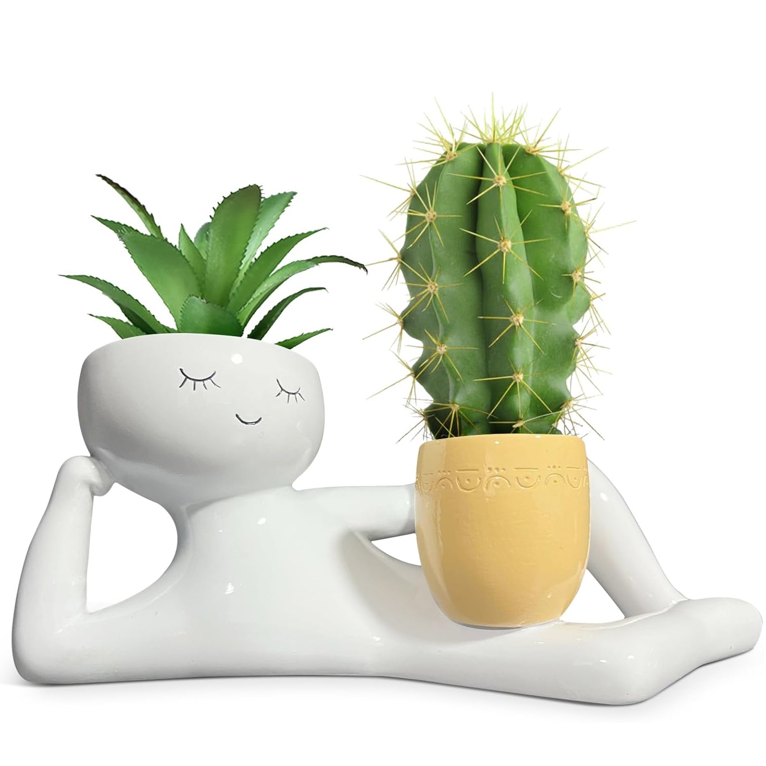 Echeveria Succulent - Lazy Little Guy Planter Unique Holding