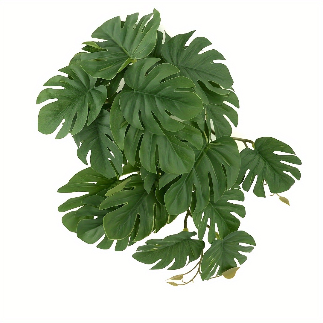 Monstera Adansonii - Reptile Plants for Terrarium Artificial Hanging