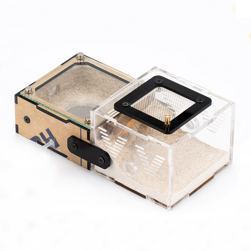 Begonia Rex - Unlimited Expansion Ant Farm House with
