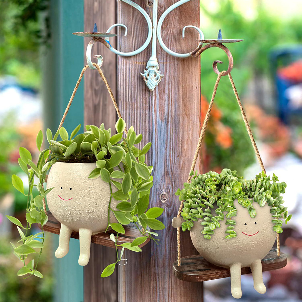 Plant Hanger Baskets Lovely Sw - Echeveria Succulent ulasan dan harga