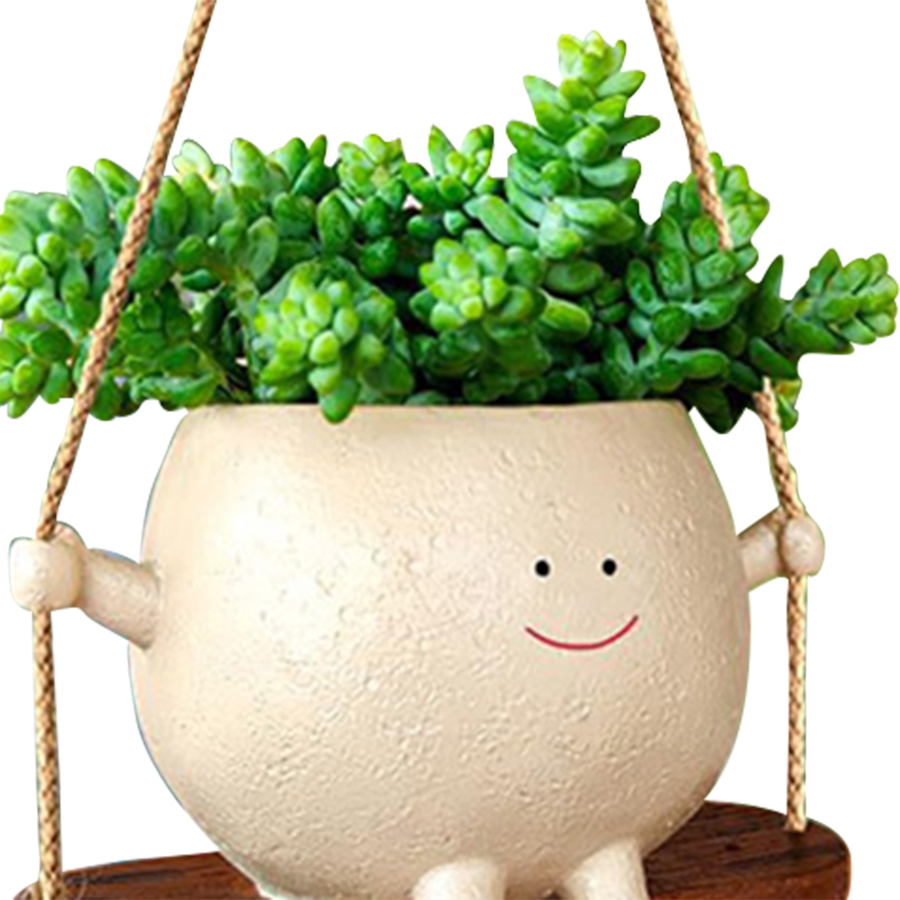 Plant Hanger Baskets Lovely Sw - Echeveria Succulent ulasan dan harga