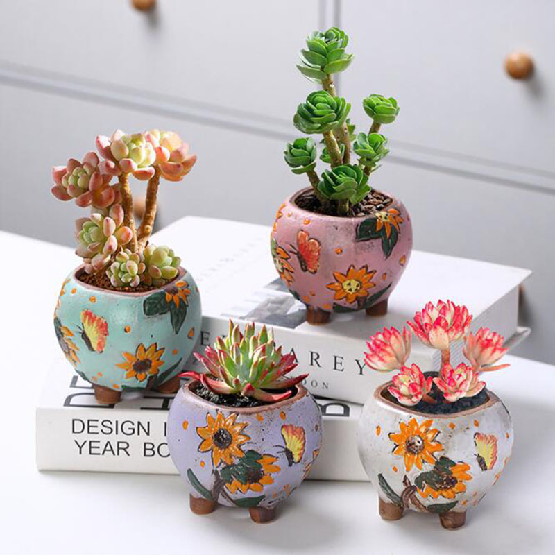Korean Style Sunflower Pattern - Echeveria Succulent ulasan dan harga