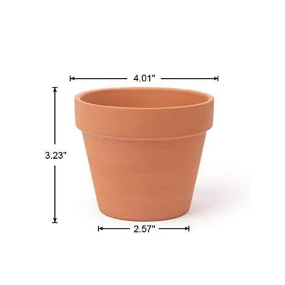 6pcs 4 inch Terracotta Pots Fl - Echeveria Succulent ulasan dan harga