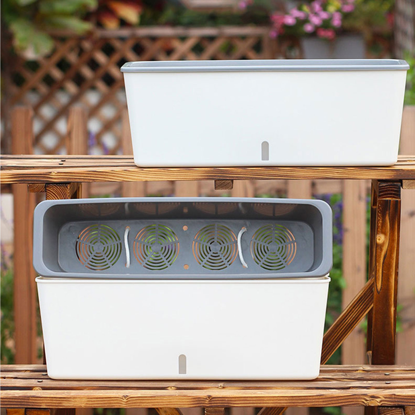 Self-Watering Planter Pots wit - Aloe Vera Pot ulasan dan harga