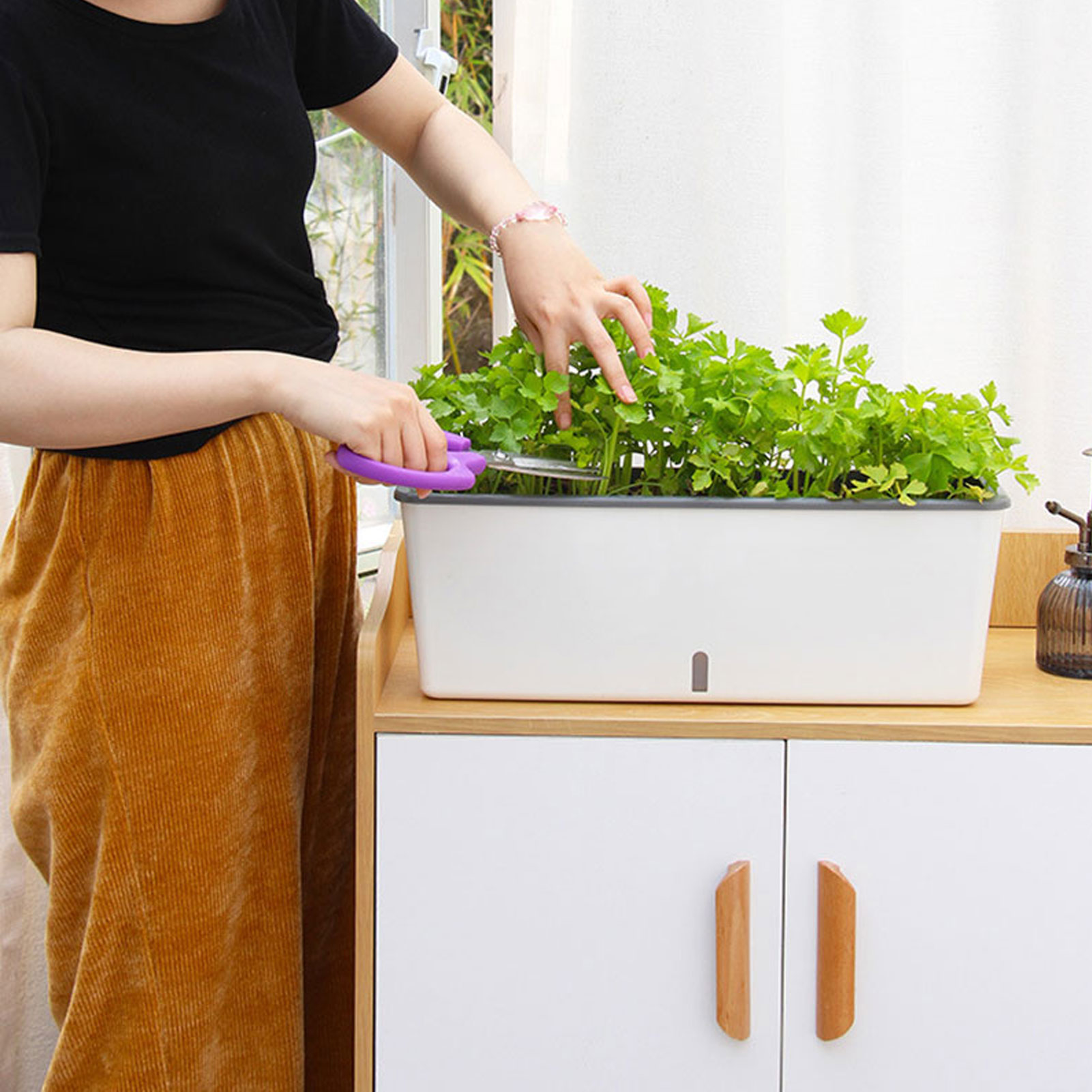 Self-Watering Planter Pots wit - Aloe Vera Pot ulasan dan harga