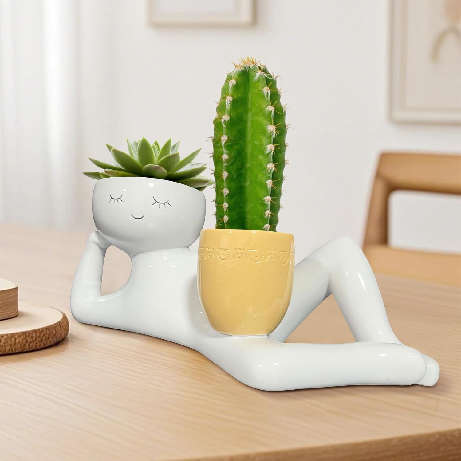 Lazy Little Guy Planter Unique - Echeveria Succulent ulasan dan harga