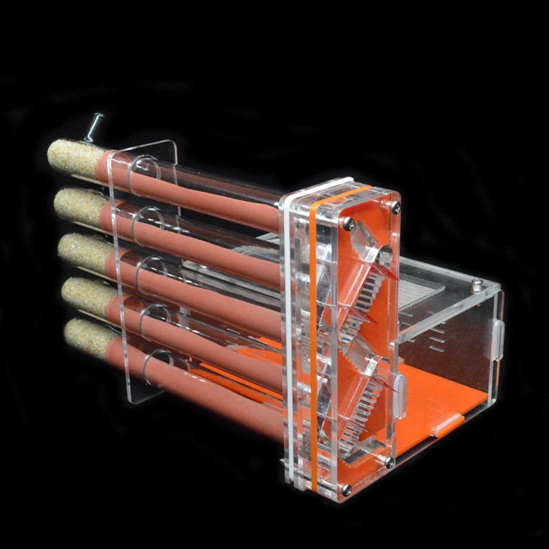 DIY Acrylic Ant Farm 5 pcs 18- - Begonia Rex ulasan dan harga