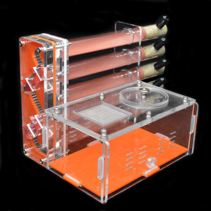 DIY Acrylic Ant Farm 5 pcs 18- - Begonia Rex ulasan dan harga