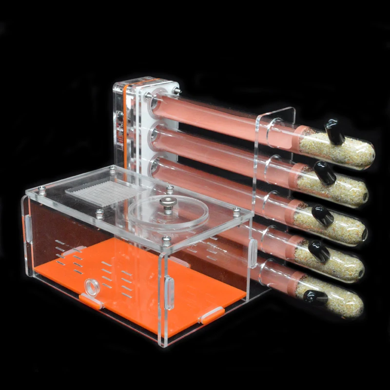 DIY Acrylic Ant Farm 5 pcs 18- - Begonia Rex ulasan dan harga