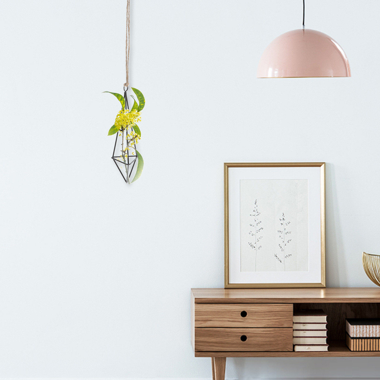 Metal Air Plant Holder Hanging - Spider Plant Hanging ulasan dan harga