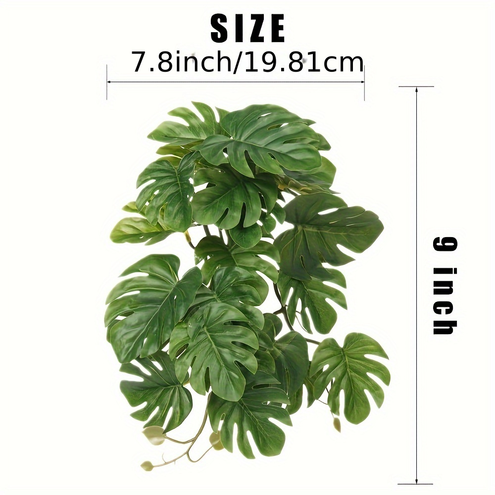 Reptile Plants for Terrarium A - Monstera Adansonii ulasan dan harga