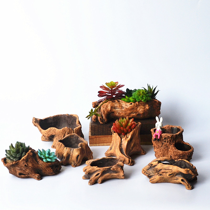 Imitation Wooden Stakes Tree R - Echeveria Succulent ulasan dan harga