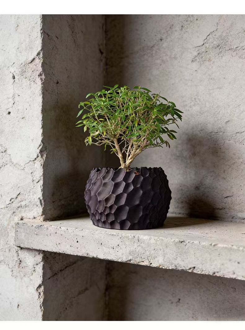 Textured Flower Pot Irregular  - Echeveria Succulent ulasan dan harga