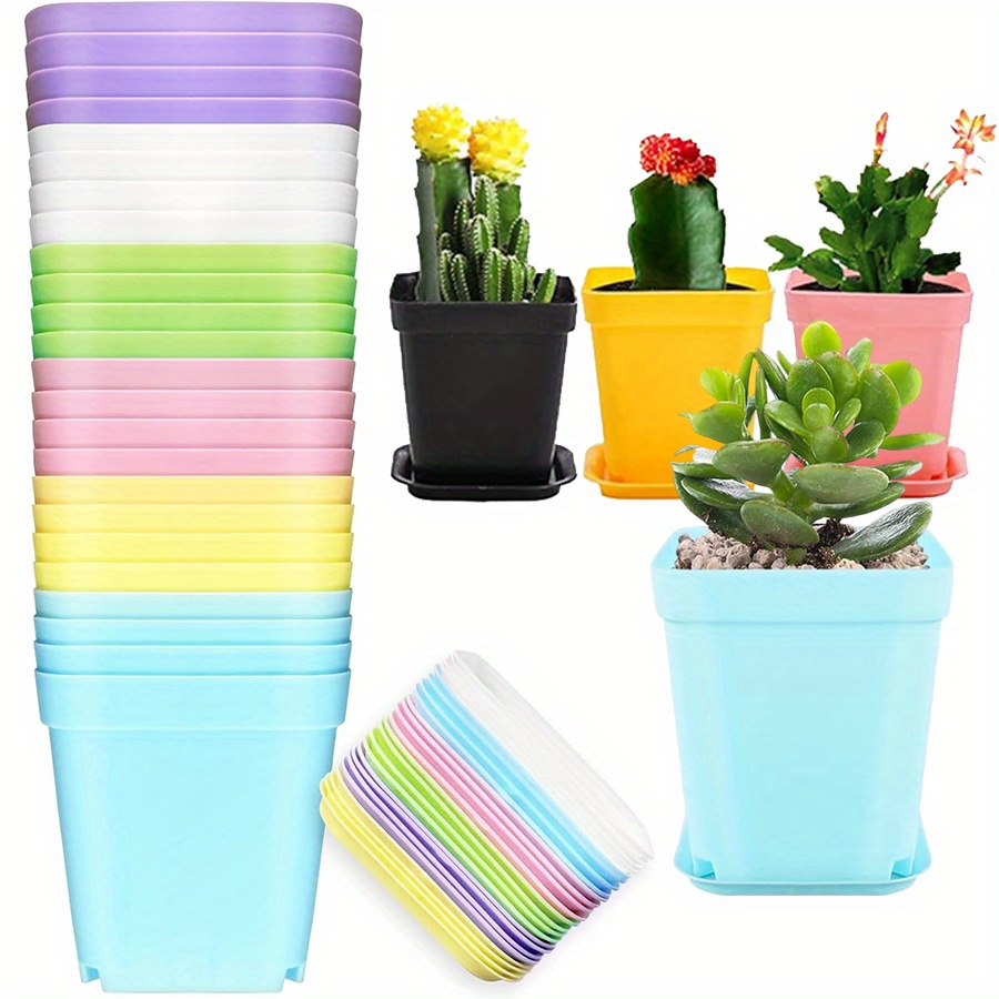 12pcs 7cm Plastic Square Pots  - Aloe Vera Pot ulasan dan harga
