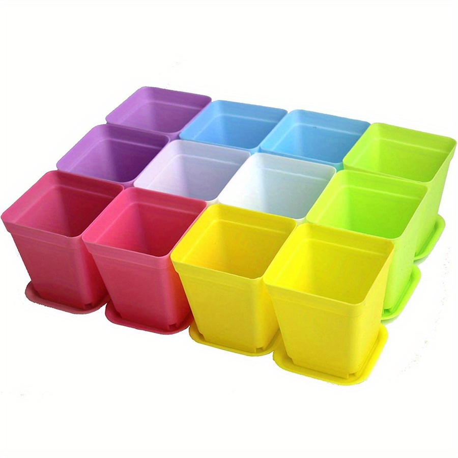 12pcs 7cm Plastic Square Pots  - Aloe Vera Pot ulasan dan harga