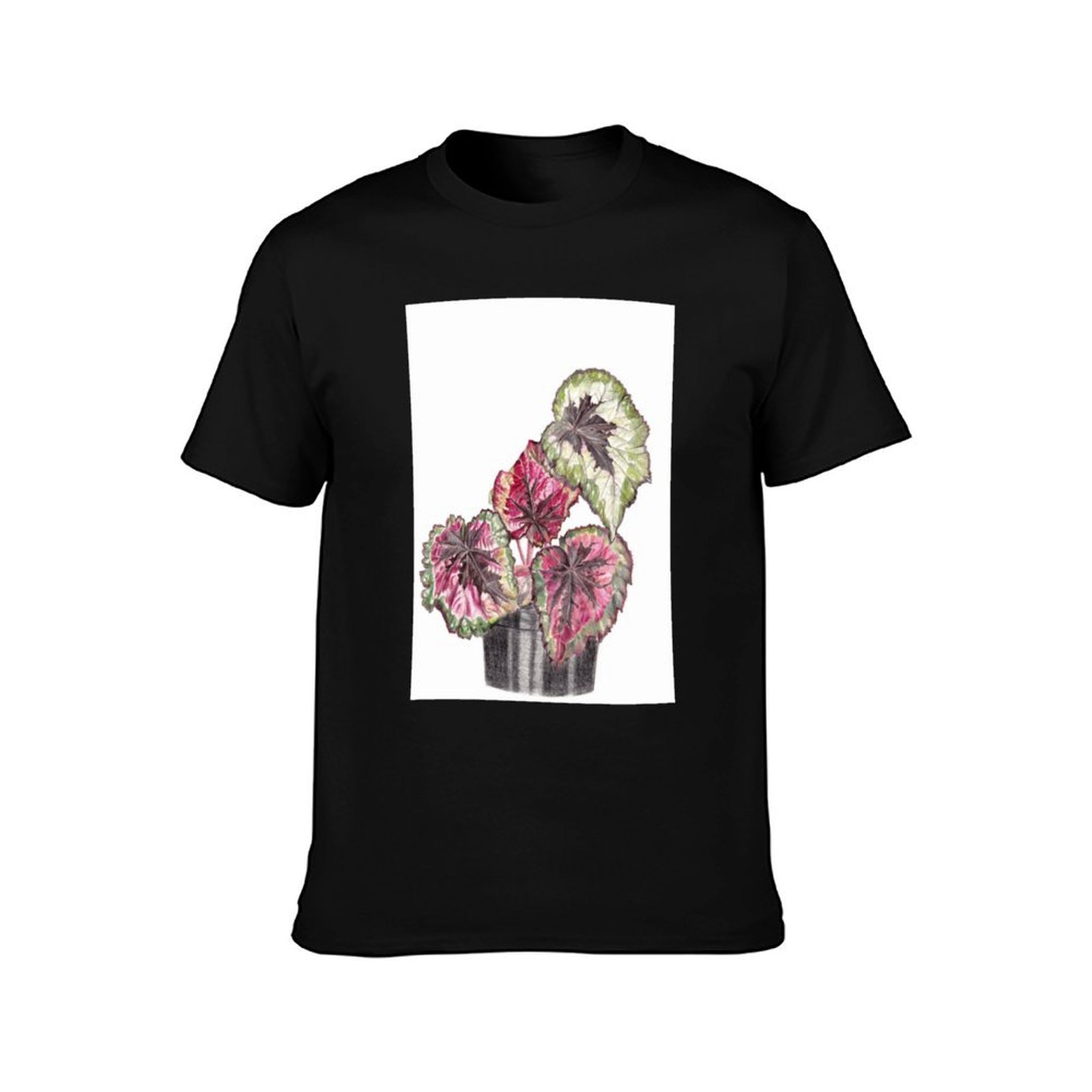 Begonia Rex T-Shirt Comfort St - Begonia Rex ulasan dan harga